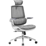 Chaise Ergonomique
